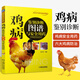 雞病鑒別診斷圖譜與安全用藥 養(yǎng)雞技術(shù)書蛋雞養(yǎng)殖技術(shù)書籍大全雞病鑒別診斷圖譜與防治土雞肉雞散養(yǎng)雞養(yǎng)殖及用藥雞白痢藥手冊