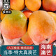 沐小七果蔬海南澳芒大芒果 當(dāng)季芒果 現(xiàn)摘新鮮孕婦水果 凱特大芒果 凈重8斤【4-8個(gè)】 精選禮盒裝