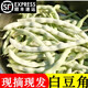 辰實東北白豆角【順豐】新鮮白蕓豆角 油豆角 云豆四季豆白架豆蔬菜 5斤