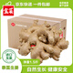京鮮生&佳農寶菜泰國姜藍色烏絲圓環(huán)姜凈重1.5斤源頭直發(fā)