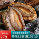 海鮮頌 活凍大鮑魚(yú) 鮮活速凍海鮮水產(chǎn) 生鮮冷凍鮑魚(yú)撈飯 貝類(lèi) 火鍋食材 500g(10-12頭)