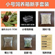寵物白玉蝸牛活體巨型大蝸牛寵物觀賞學生科學實驗教學小蝸牛套裝 小飼養(yǎng)箱新手套裝[2只蝸牛]