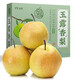 澤鮮達(dá)山西玉露香梨隰縣純甜梨子新鮮水果禮盒當(dāng)季整箱香梨冰糖梨 5斤