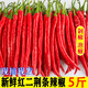 辰實【現(xiàn)摘現(xiàn)發(fā)】新鮮紅二荊條 現(xiàn)摘線椒辣椒 農(nóng)家青紅辣椒做剁椒 5斤（紅二荊條）推薦