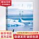 我從西藏到南極 廣東旅游出版社 鄧文芳 著 書籍
