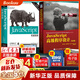 【正版包郵】JavaScript 程序設(shè)計(jì) 第4版JavaScript權(quán)威指南第6版DOM編程藝術(shù) JavaScript指南(第6版)+程序設(shè)計(jì)