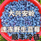 鮮級(jí)佳新貨大興安嶺速凍純野生藍(lán)莓保溫箱奶茶店榨果熬果昔醬原汁安療 5斤順豐冷鏈g