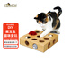 SmartCat9孔玩具盒貓咪玩具貓智力九孔玩具盒逗貓藏寶盒貓咪用品