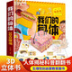 我們的身體 兒童3d立體書科普翻翻書幼兒生理啟蒙科普百科圖書3-12歲探秘揭秘身體的秘密人體結(jié)構(gòu)書籍