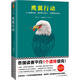 二手通宵小說大師肯·福萊特懸疑經(jīng)典：鷹翼行動【9成新】