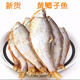臻鮮蓓半干黃鯽魚 油扣魚黃尖子馬口魚干海鮮干貨小咸魚干毛扣魚咸魚 1000克