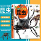 浪花朵朵正版 MOVE圖鑒昆蟲 宇宙 恐龍 7歲以上兒童版大百科繪本 日本講談社編昆蟲大百科全書 dk法布爾老師的昆蟲教室 后浪童書 MOVE圖鑒 昆蟲