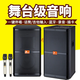 丹嘜仕（Danms）專業(yè)大型舞臺(tái)音響套裝雙15吋戶外廣場舞大功率婚慶演出有源KTV音箱設(shè)備功放音響話筒麥克風(fēng)一體機(jī) 15寸雙音響+雙無線專業(yè)話筒