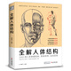 經(jīng)典全集《全解人體結(jié)構(gòu)》藝術(shù)用解剖學(xué)工具書籍素描美術(shù)繪畫入門教程肌肉運(yùn)動(dòng)造型形體手繪技法筆記圖集教材
