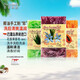 蘇答瑪臘（Sudamala）印尼巴厘島進(jìn)口手工皂洗臉沐浴花果香皂溫和清潔留香伴手禮品100g 3塊不同香型（隨機(jī)）