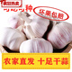 山東新干大蒜10斤大蒜紫白皮大蒜頭大蒜種子多瓣蒜5斤 裝 10斤 京鮮配