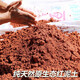 廣朗園藝紅泥土純天然原生態(tài)偏酸性土壤透氣透水杜鵑蘭花茶花茉莉花映山紅專用酸性營養(yǎng)土叫花雞茶葉蛋泥粘土 純天然紅泥土5斤
