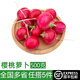 綠食者 新鮮櫻桃蘿卜500g 迷你小紅蘿卜西餐沙拉食材 健康輕食蔬菜
