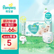 幫寶適 清新幫紙尿褲 嬰兒尿不濕 中碼 M54片