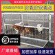 鴕衛雞籠子家用室外防黃鼠狼雞籠子自動(dòng)清糞養殖專(zhuān)用籠加密加厚特大號 雞頭出來(lái)吃食1.5米*58*62cm側門(mén)