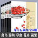 【齊白石系列】齊白石繪畫藝術(shù) 齊白石畫集 游魚+蔬果+禽鳥+花卉+草蟲 國畫梅蘭菊竹牡丹荷鷹魚蝦蟹工筆中國畫技法 齊白石畫集全5冊