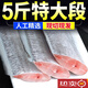 京樂(lè )狳帶魚(yú)段舟山小眼帶魚(yú)新鮮海捕東海刀魚(yú)5斤特大帶魚(yú)段 5斤精品特大段【回頭客多】 中段