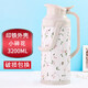 五月花保溫壺家用玻璃內(nèi)膽保溫瓶不銹鋼暖壺暖瓶容量 2L(含)-3.2l 小碎花3.2L