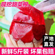 新鮮甜菜根甜菜頭現(xiàn)拔現(xiàn)發(fā)新鮮 甜菜根 5斤中果