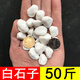 裕漫天50斤白色石子石頭大鵝卵石庭院鋪路鋪地小白石花園造景景觀白石子 50斤 雪花白石子1~2cm