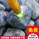 旭萃緬甸翡翠玉石原石 吊墜貔貅手把件 翡翠原石毛料公斤料練手料 A號