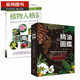 在途 新精油圖鑒+植物人格全書(shū) 套書(shū) 商周出版 臺(tái)版原版 生活風(fēng)格 港臺(tái)圖書(shū)