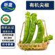 聽(tīng)蔬有機(jī)尖椒螺絲椒 微辣新鮮蔬菜有機(jī)認(rèn)證 現(xiàn)摘無(wú)農(nóng)殘食材匯健康輕食 有機(jī)尖椒500g