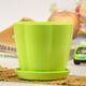 慎思苑樹(shù)脂塑料花盆大號室內陽(yáng)臺盆栽多肉綠蘿植物仿陶瓷創(chuàng  )意圓形小花盆 果綠色【花瓣盆】 大號