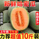 駐晨（ZHUCHEN）【爆甜多汁】新鮮哈密瓜10斤 當季新鮮水果香甜蜜瓜網(wǎng)紋玫瓏瓜 9斤精選裝-哈密瓜【凈重8.5斤】
