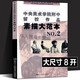 【多規格】中央美術(shù)學(xué)院附中留校經(jīng)典作品\色彩卷\素描卷 央美附中留校作品選 色彩大范本美術(shù)繪畫(huà)教材 素描大范本2