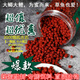 超大瓶裝主攻鯽魚(yú)鯉魚(yú)白條魚(yú)草魚(yú)羅非魚(yú)餌顆粒餌料野釣垂釣魚(yú)餌料 大瓶裝3000顆粒左右 直徑5mm