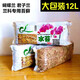 干水苔蝴蝶蘭專(zhuān)用無(wú)菌養蘭花的多肉草苔蘚鮮活種植營(yíng)養土食蟲(chóng)植物 水苔12L兩包