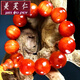 美芙仁 琥珀木手串男全透長白山東北松明子北沉香血龍木原木料佛珠寓意 18mm手串