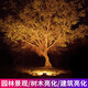 晚晚 照樹(shù)燈景觀(guān)射燈led綠化草坪地燈光室外投光燈七彩射樹(shù)燈戶(hù)外防水花園燈 【30W暖光】需白紅藍粉紫請備注