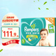 幫寶適（Pampers） 超薄干爽嬰幼兒綠幫紙尿褲男女通用尿不濕 L84片【9-14kg】