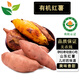 有機紅薯3斤5斤 煙薯山東紅薯西瓜紅無農(nóng)殘有機認證香甜老味道 5斤裝