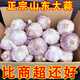 山東大蒜頭大蒜5斤2025當(dāng)季紫皮新大蒜大蒜頭新鮮整箱批發(fā)9斤3斤 2500g 【推薦】果王