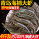 三座海青島大明蝦 基圍蝦 活鮮速凍 海鮮水產(chǎn) 青蝦 大對蝦 火鍋食材 蝦 4斤15-17cm(50-68只)