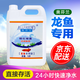 奧芬蘭（ALLFRIEND）魚(yú)缸硝化細菌水族箱穩定凈化水質(zhì)劑澄清劑淡海水通用錦鯉龍魚(yú)專(zhuān)用 龍魚(yú)專(zhuān)用 5L/桶
