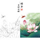 桔舍李曉明工筆畫(huà)白描底稿荷花蜻蜓小品原作大小41*51厘米花鳥(niǎo)線稿帶A3步驟圖及用色說(shuō)明KE14