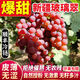 現貨正宗新疆玻璃翠葡萄凈重4斤應季新鮮水果無(wú)籽葡萄無(wú)核白 新疆玻璃脆葡萄家庭實(shí)惠裝