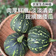 密農人家 農家種植倭瓜 嫩倭瓜 長(cháng)圓窩瓜隨機發(fā)貨 嫩南瓜 新鮮蔬菜600g