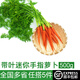 綠食者 新鮮手指胡蘿卜500g 帶葉水果小胡蘿卜 沙拉食材健康輕食蔬菜