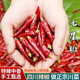 四川特產(chǎn)川菜七星椒 朝天椒 滿天星 超辣小米辣干辣椒面原料 100g袋裝-更高性價比