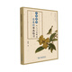 零基礎(chǔ)宋畫臨習(xí)——工筆花鳥從入門到精通